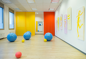 In einem Raum des Zentrums für Ambulante Psychosomatische Rehabilitation Freiburg liegen kleine und große Gymnastikbälle.